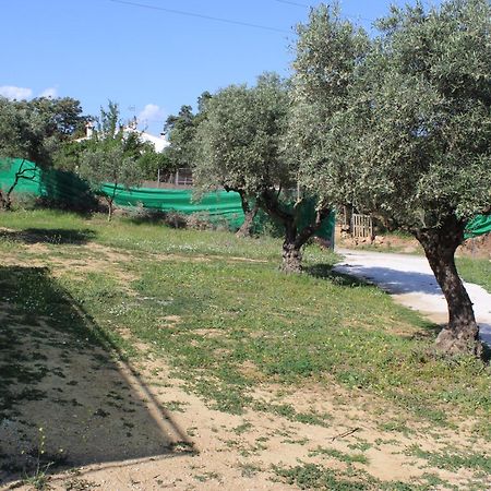 Casa De Campo En Coín Kültér fotó