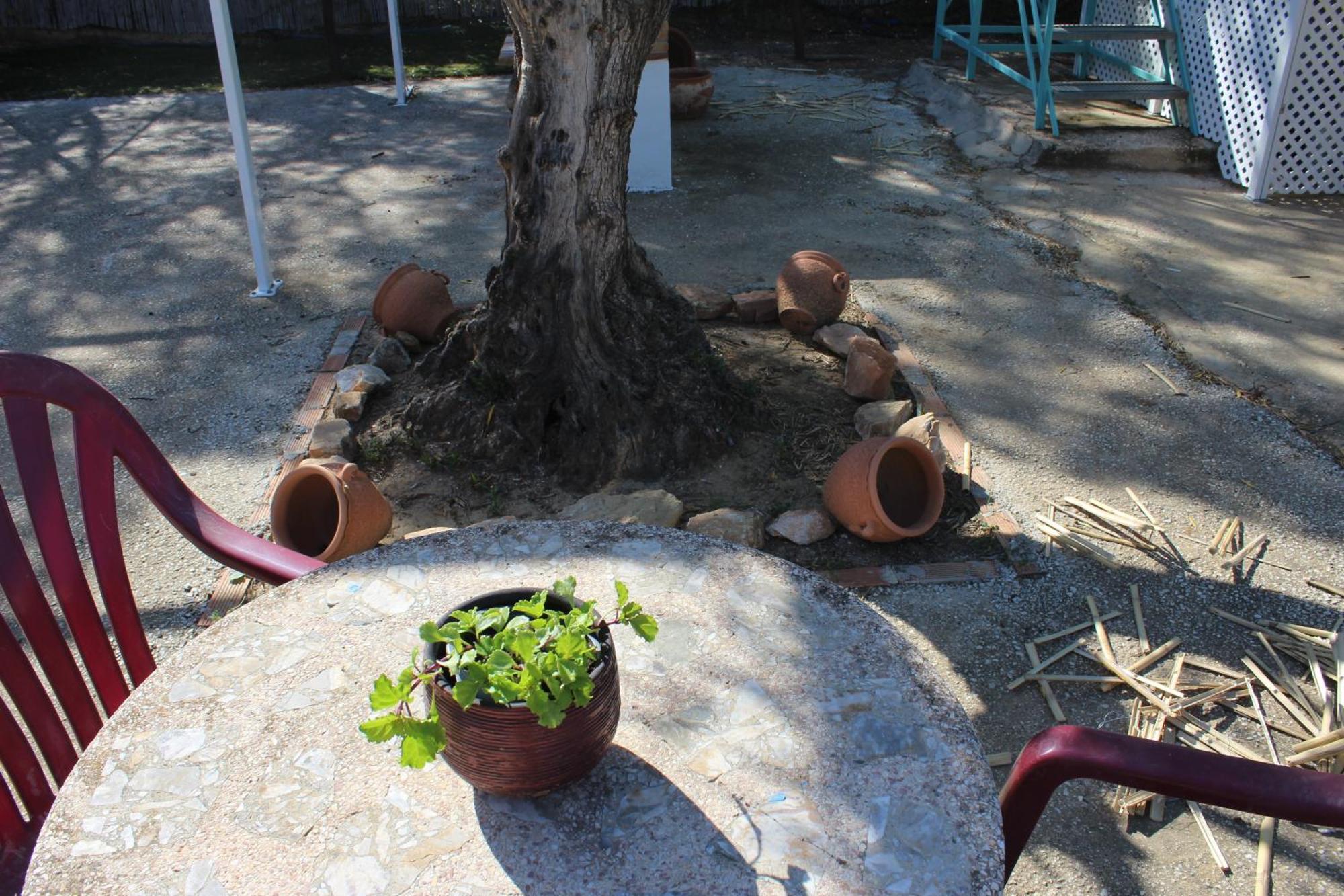 Casa De Campo En Coín Kültér fotó